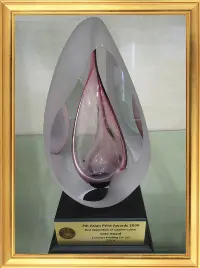 award2009-02